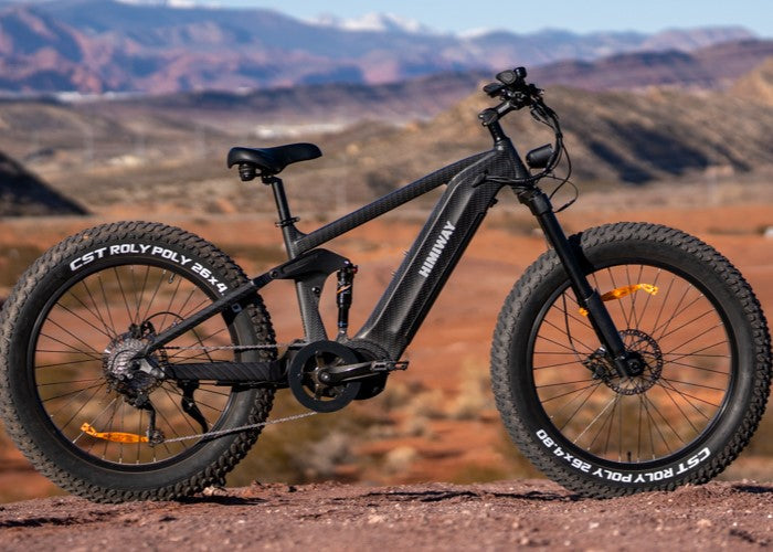 Himiway Cobra Pro 1000w Electric Bike